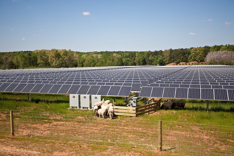 Image of Solar Farm Array
