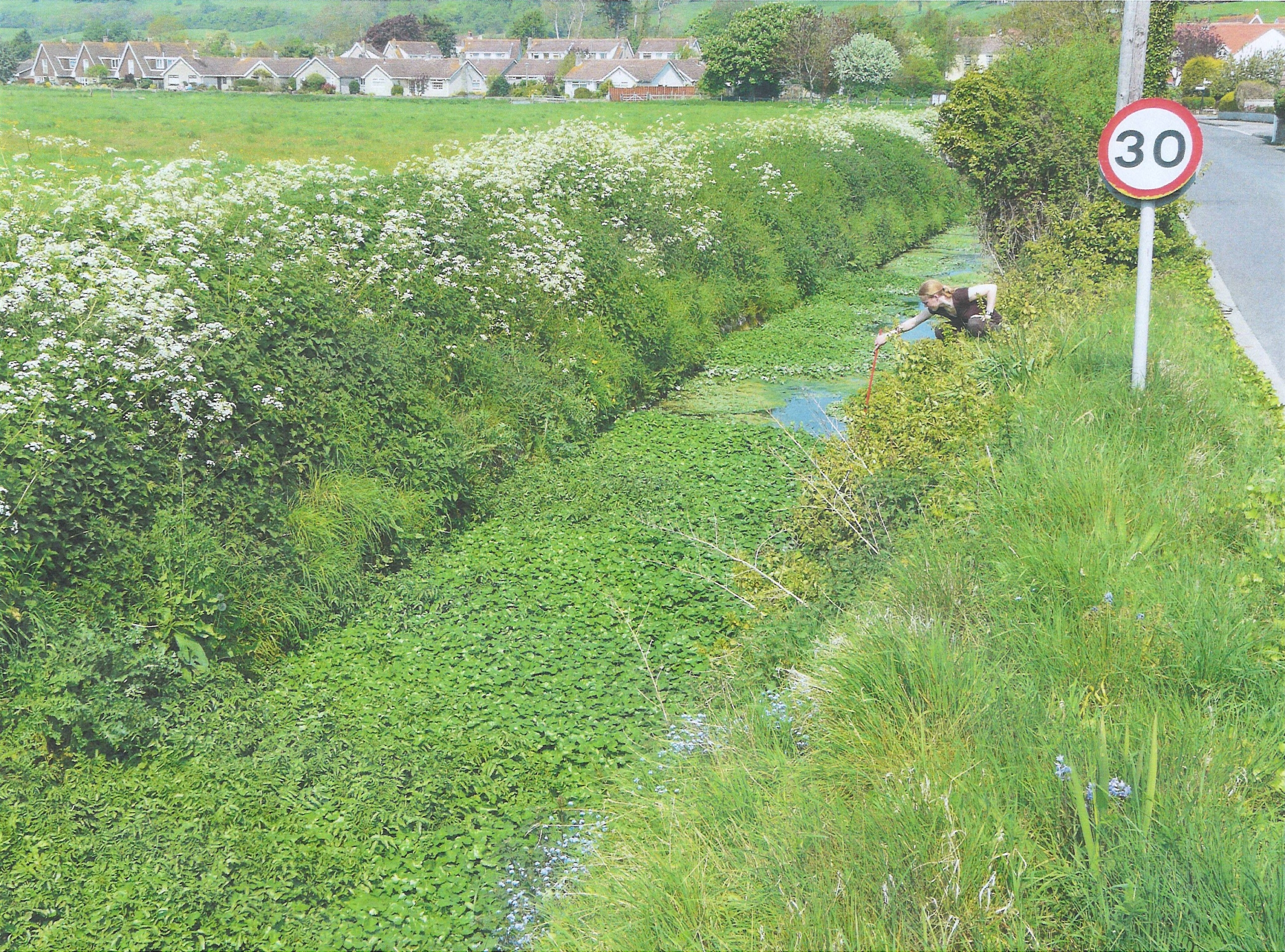 BFPBridgeRd BFPBridgeRd