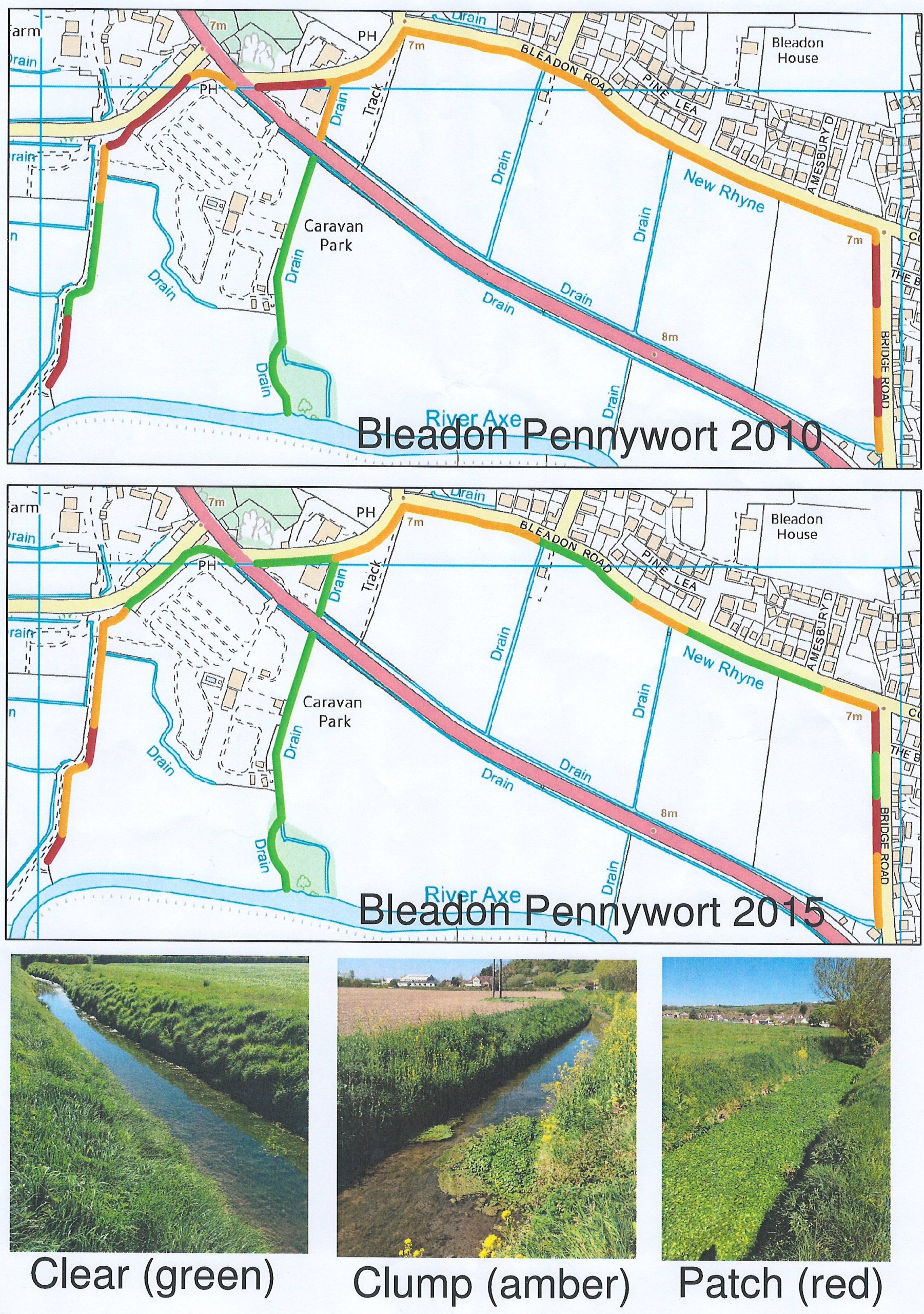 Floating Pennywort Progress