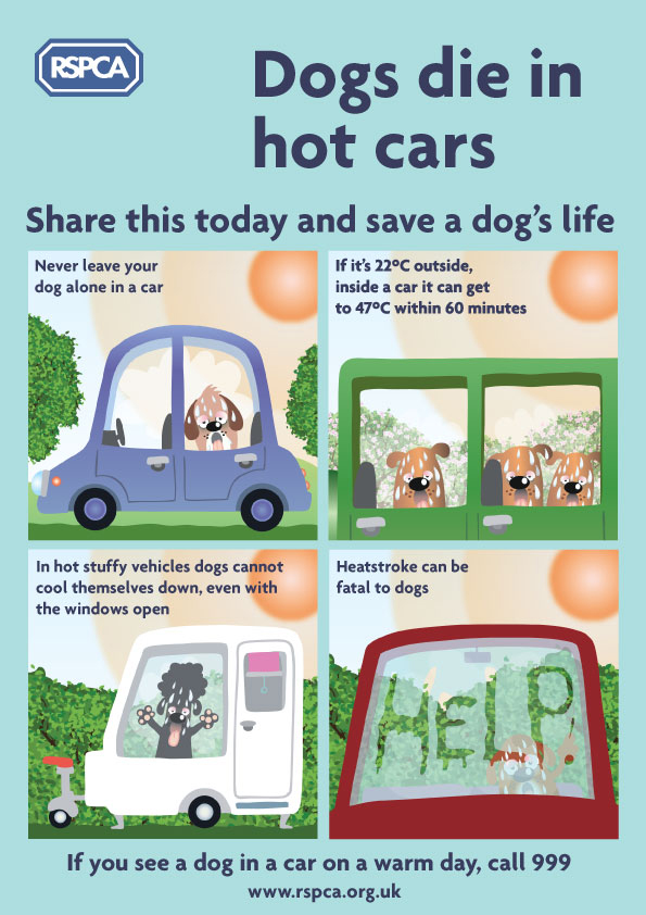 RSPCA Poster
