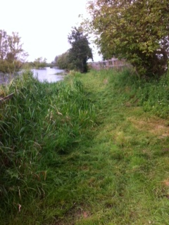 Clearing River Axe footpath