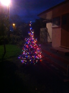 xmas tree