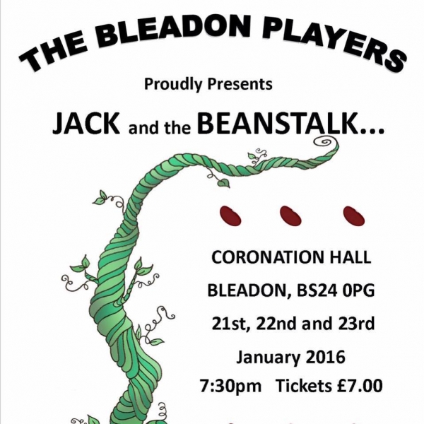 Bleadon Panto 2016